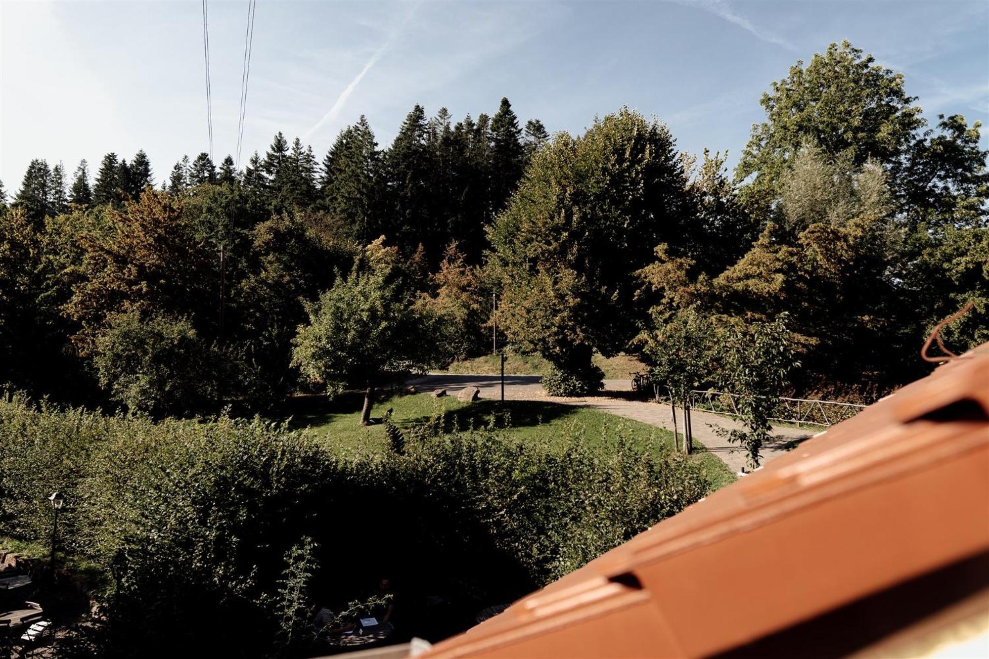 Hotel Dammuehle Marburg ภายนอก รูปภาพ